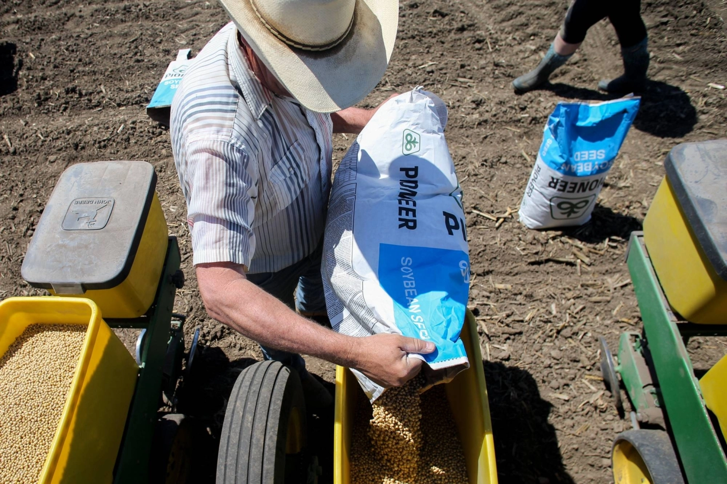 Soybeans are prepared for planting in Iowa Soybeans are prepared for planting in Iowa
