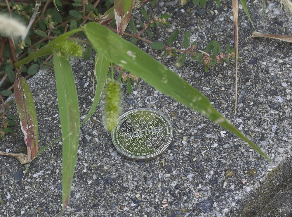 Ryan Gander’s “The Find” transforms Okayama into the site of a scavenger hunt for coins that anyone is free to take home.  Ryan Gander’s “The Find” transforms Okayama into the site of a scavenger hunt for coins that anyone is free to take home.