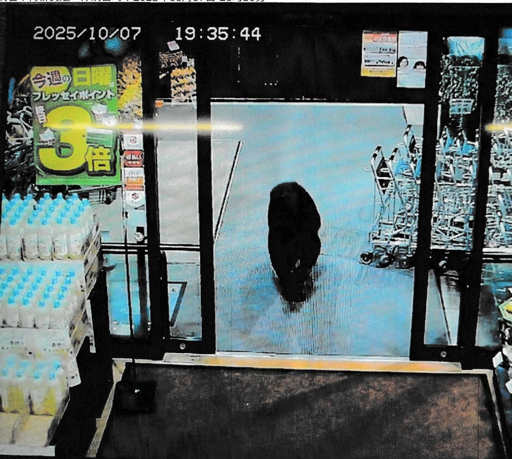 A bear seen in security camera footage taken Tuesday inside a supermarket in Numata, Gunma Prefecture A bear seen in security camera footage taken Tuesday inside a supermarket in Numata, Gunma Prefecture