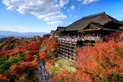 While Kyoto's Kiyomizu Temple is a famous spot for viewing the autumn foliage, Japan has no shortage of colorful forests.  While Kyoto's Kiyomizu Temple is a famous spot for viewing the autumn foliage, Japan has no shortage of colorful forests.