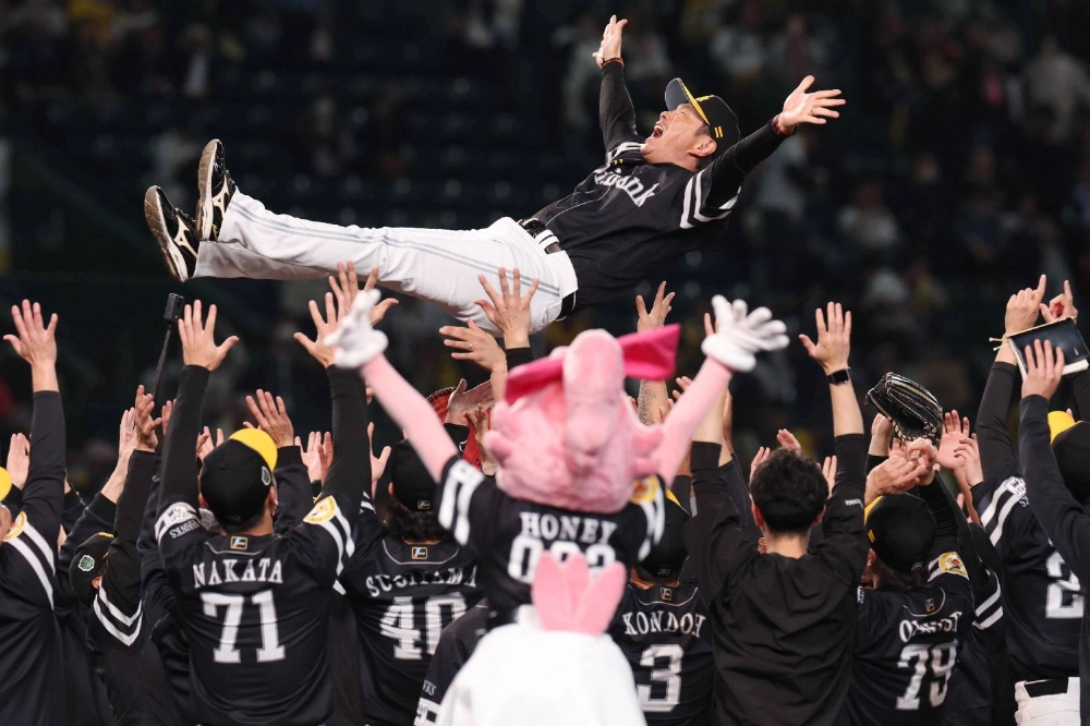The Hawks players throw manager Hiroki Kokubo into the air as they celebrate after defeating the Tigers in Game 5 of the Japan Series to clinch the title. The Hawks players throw manager Hiroki Kokubo into the air as they celebrate after defeating the Tigers in Game 5 of the Japan Series to clinch the title.