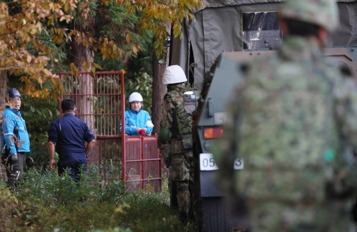 Members of the Japan Self-Defense Forces practice setting up bear traps in Akita Prefecture on Wednesday. Members of the Japan Self-Defense Forces practice setting up bear traps in Akita Prefecture on Wednesday.