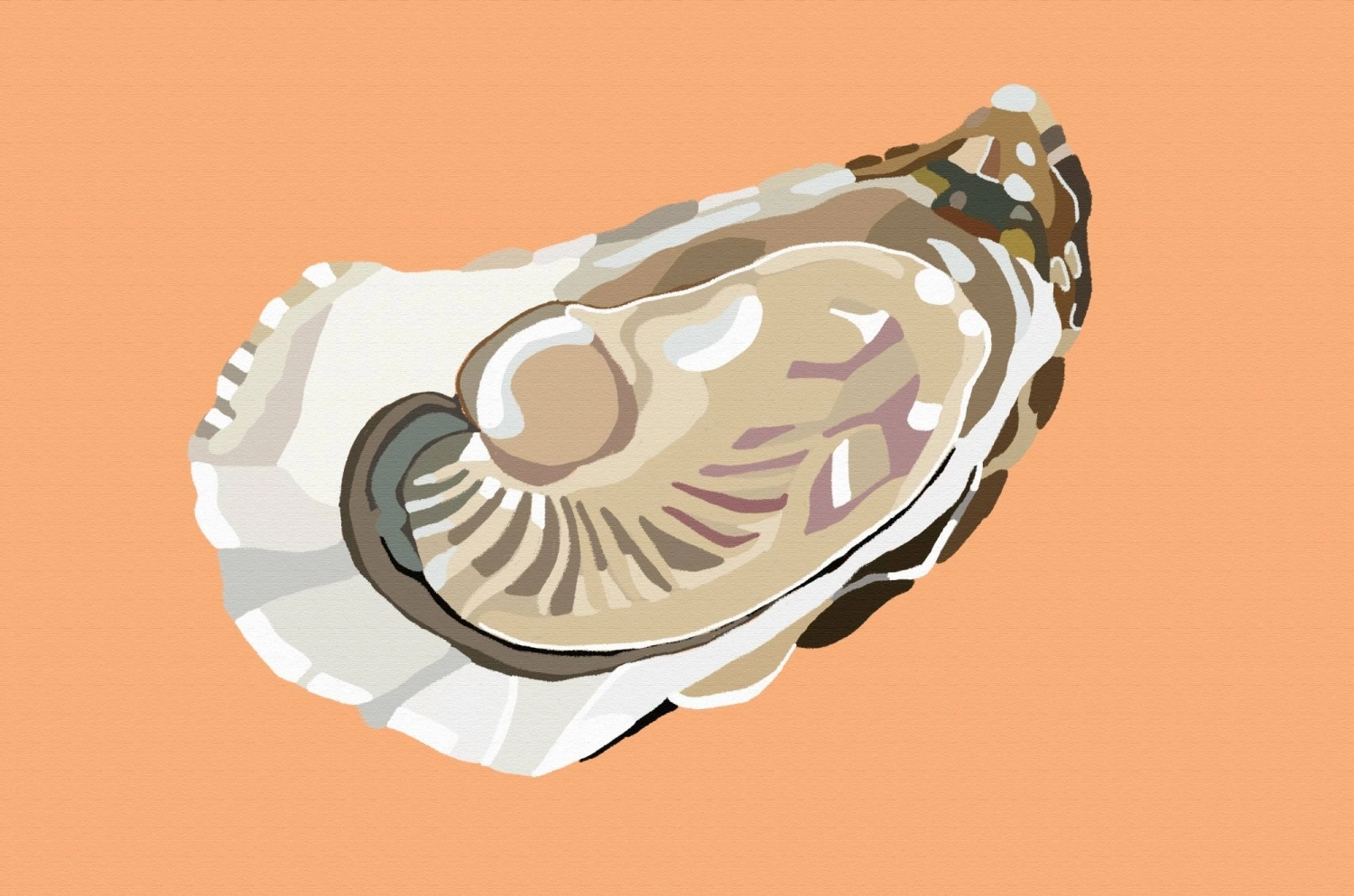 Спустя сорок лет, Спустя сорок лет,