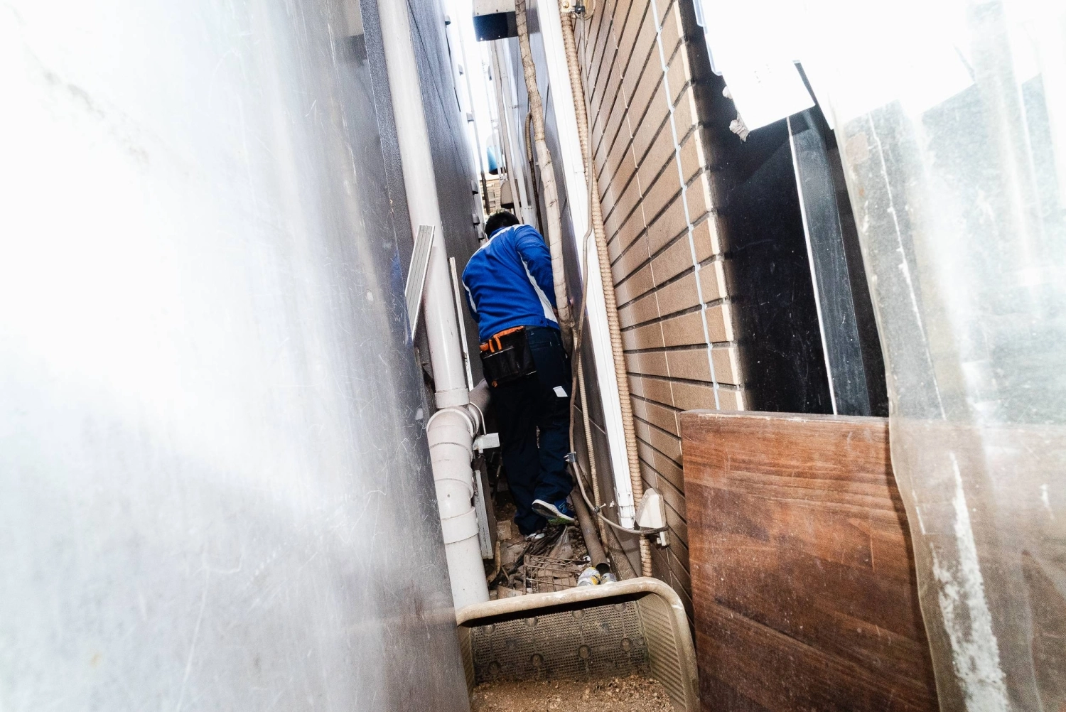 The tightly packed streets of central Tokyo are a great place for brown rats to hide. The tightly packed streets of central Tokyo are a great place for brown rats to hide.