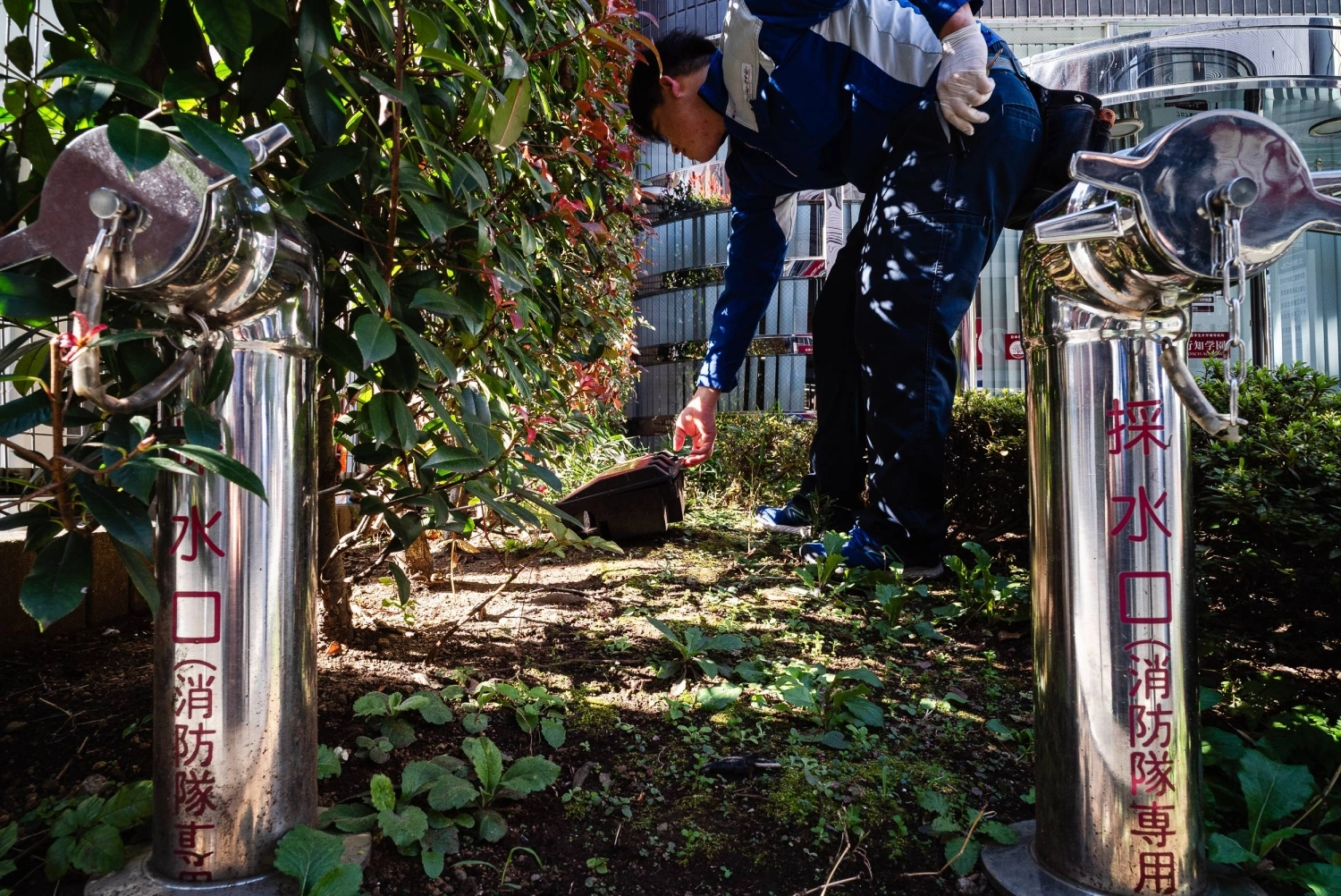 CIC workers check black boxes placed at spots that rats might frequent in Tokyo's Okubo neighborhood. CIC workers check black boxes placed at spots that rats might frequent in Tokyo's Okubo neighborhood.