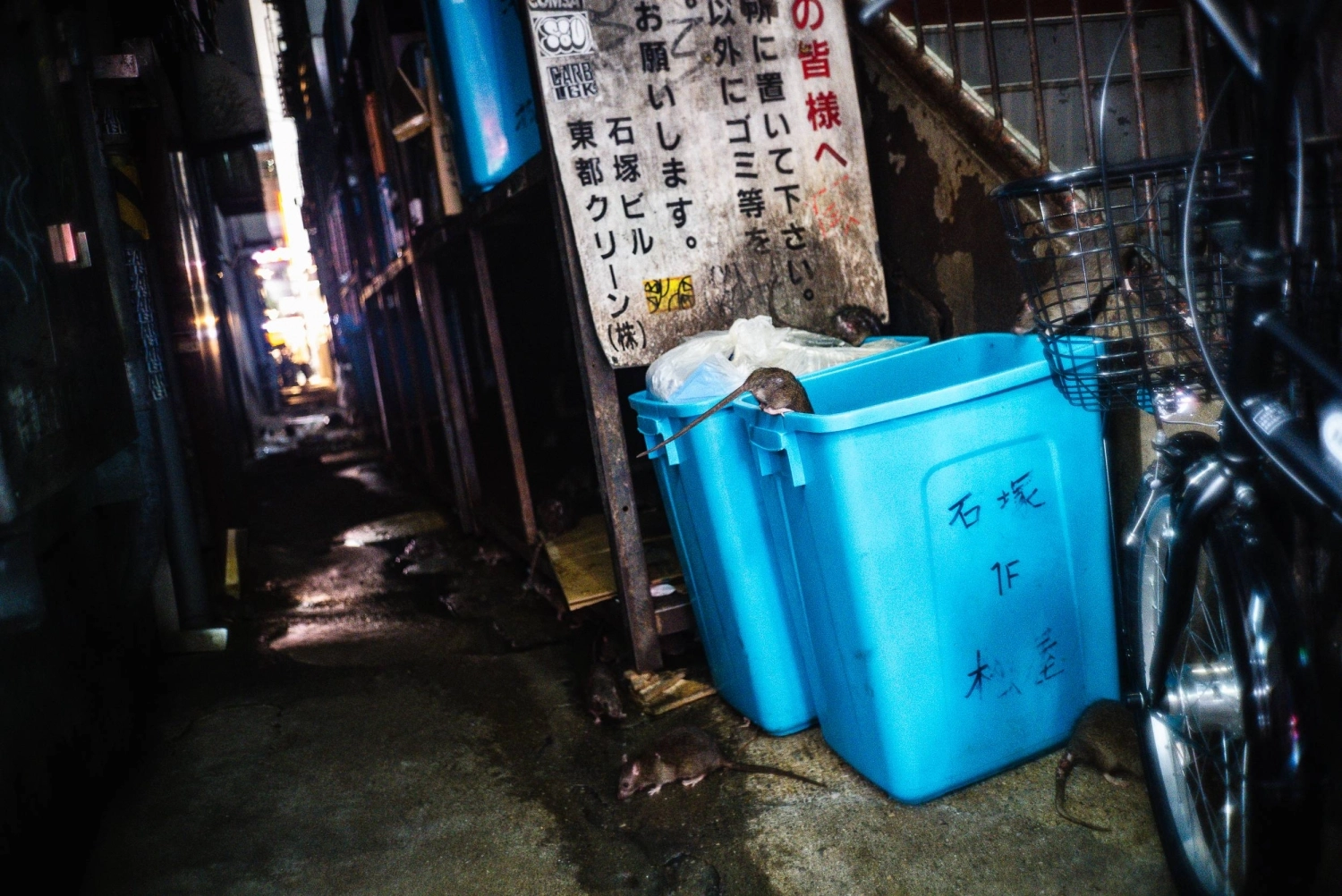 Business owners who are new to Japan may not yet know Tokyo's rules for proper garbage disposal. Business owners who are new to Japan may not yet know Tokyo's rules for proper garbage disposal.