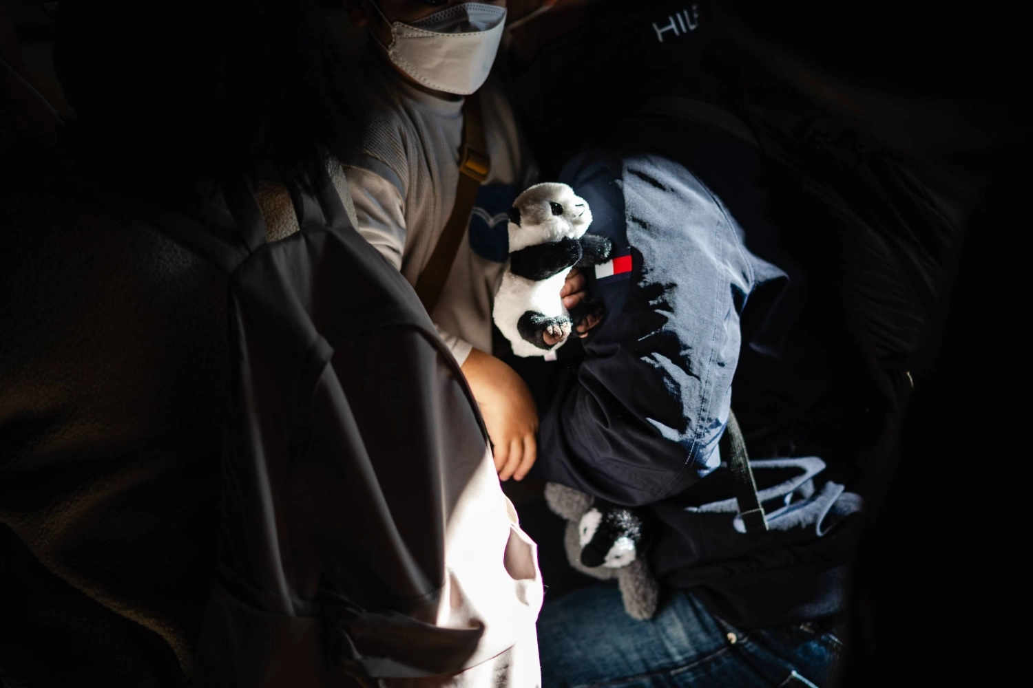 Посетитель зоопарка Уэно несёт плюшевую панду. Продажа сувениров является значительным источником дохода для зоопарка. Посетитель зоопарка Уэно несёт плюшевую панду. Продажа сувениров является значительным источником дохода для зоопарка.