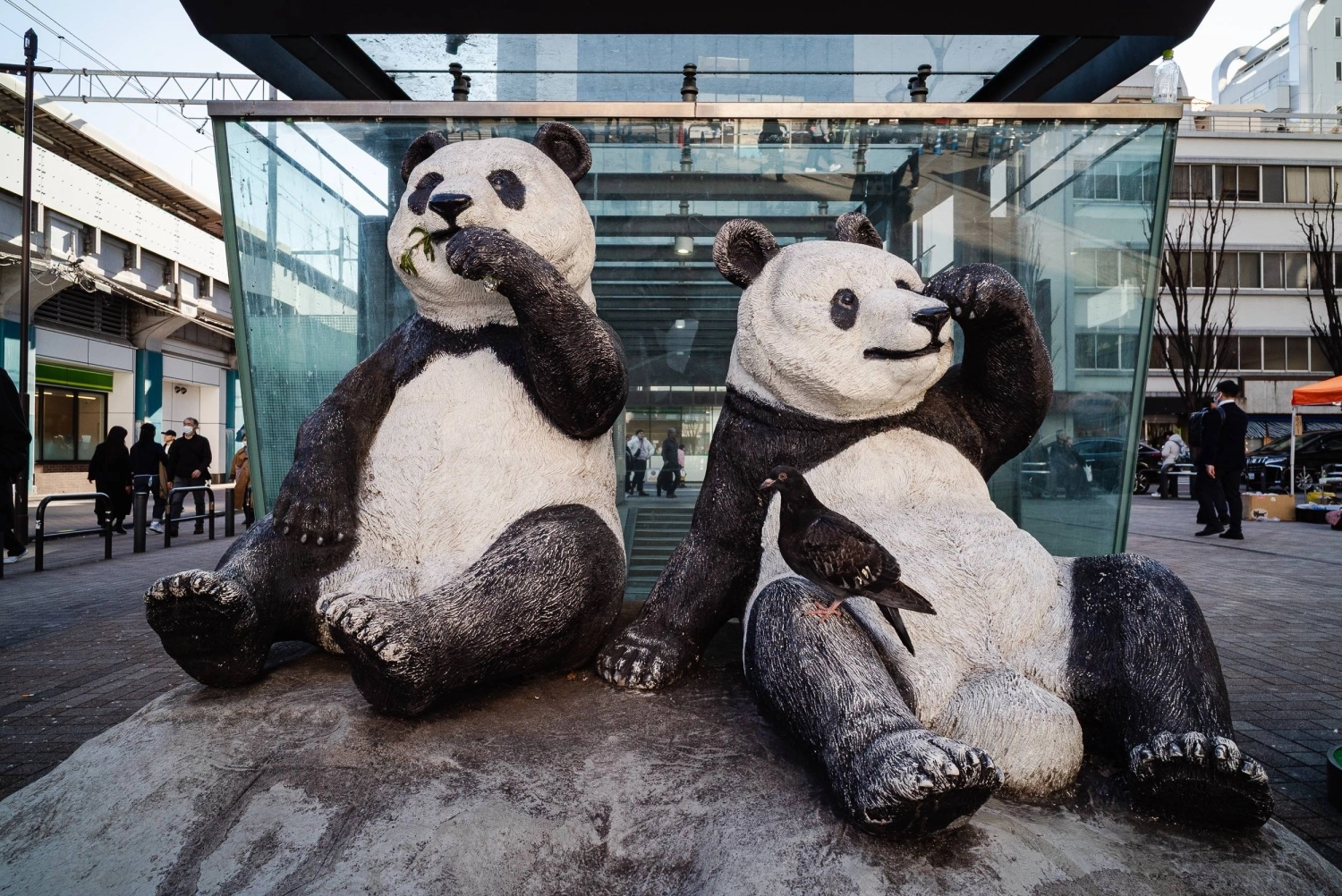 Статуи гигантских панд из зоопарка Уэно стоят на площади Панда возле станции JR Okachimati. Статуи гигантских панд из зоопарка Уэно стоят на площади Панда возле станции JR Okachimati.