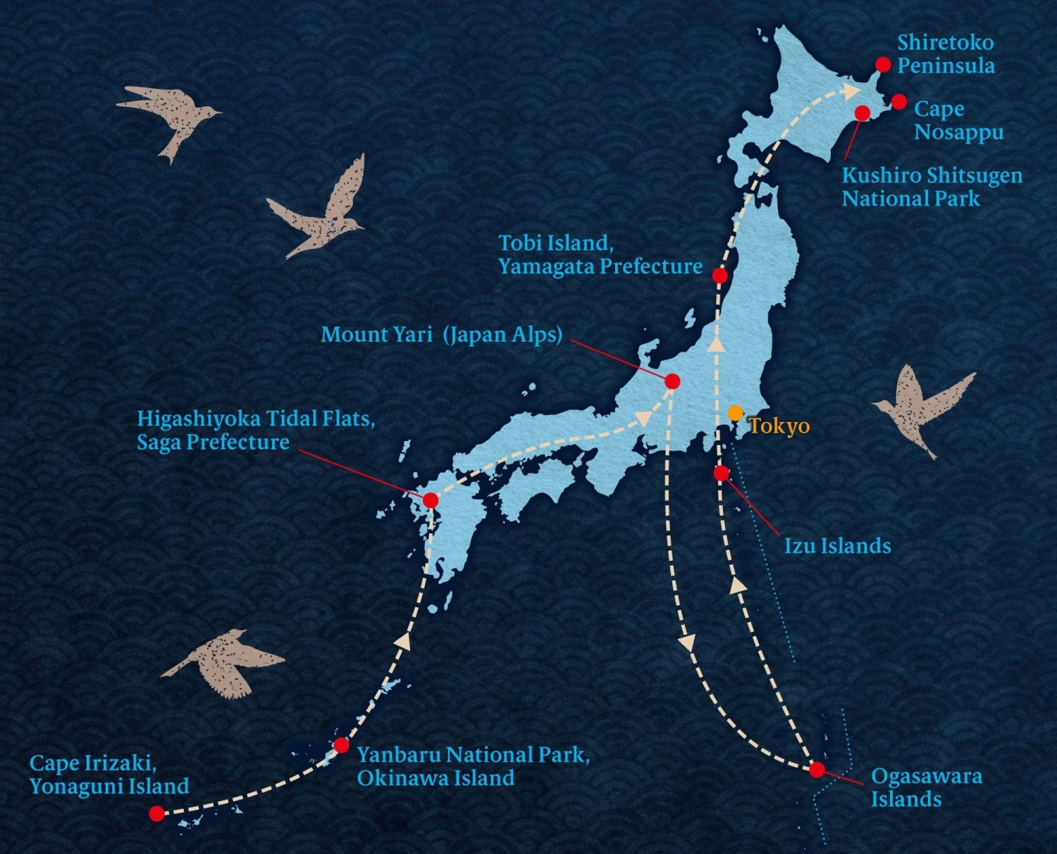 From Yonaguni Island to Hokkaido, Japan spans a rich birding corridor with more than 600 recorded species. The map shows a rough route; Mark Brazil’s journey took in dozens more locations. From Yonaguni Island to Hokkaido, Japan spans a rich birding corridor with more than 600 recorded species. The map shows a rough route; Mark Brazil’s journey took in dozens more locations.
