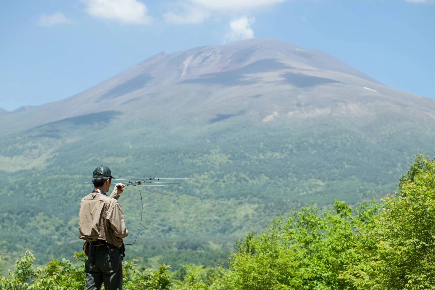 The expansion of permanent settlements into Karuizawa's formerly entirely rural stretches has increased the likelihood of human's encounters with bears. The expansion of permanent settlements into Karuizawa's formerly entirely rural stretches has increased the likelihood of human's encounters with bears.