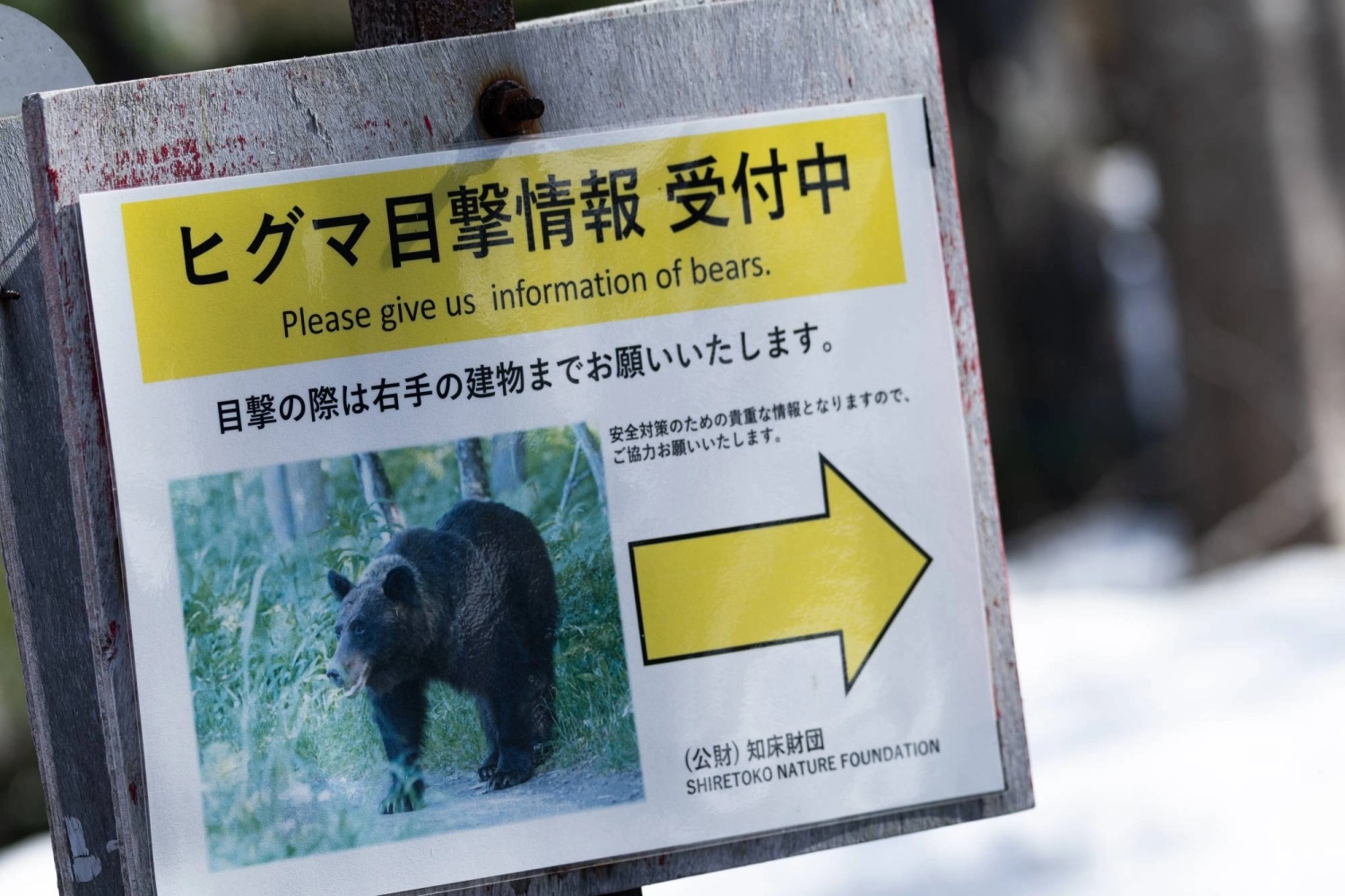 Across the Shiretoko Peninsula in northeastern Hokkaido, tracking and monitoring bear activity is the first step in figuring out how best to deal with problematic animals. Across the Shiretoko Peninsula in northeastern Hokkaido, tracking and monitoring bear activity is the first step in figuring out how best to deal with problematic animals.