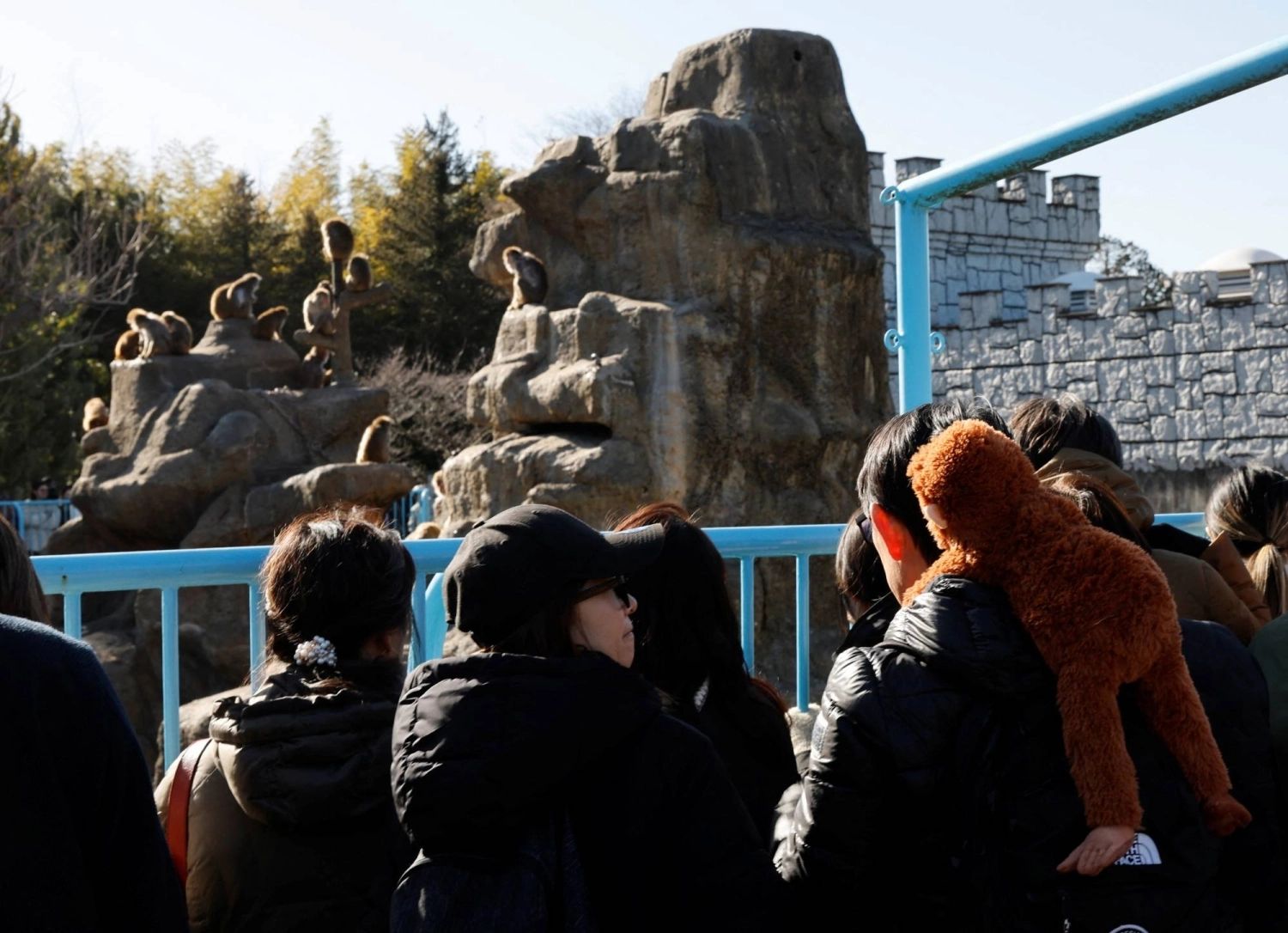 The Ichikawa City Zoo has received more than $200,000 (about ¥32 million) in donations since February, when it announced Punch to the world. The number of visitors has roughly tripled from a year ago, reaching 90,000 in March. The Ichikawa City Zoo has received more than $200,000 (about ¥32 million) in donations since February, when it announced Punch to the world. The number of visitors has roughly tripled from a year ago, reaching 90,000 in March.