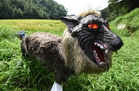 ’Robot wolves’ in high demand to scare off bears in Japan - The Japan Times