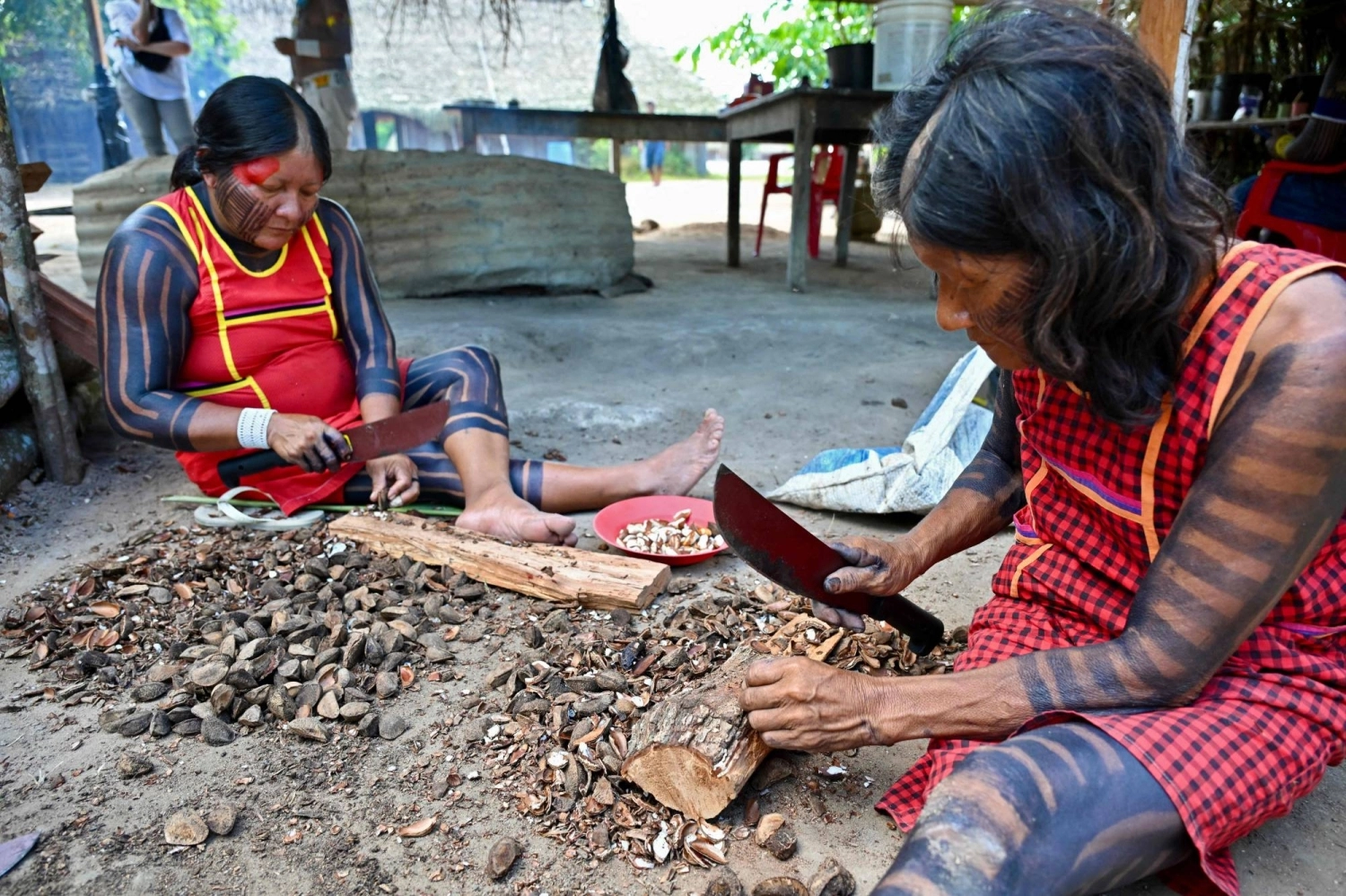 Indigenous women of the Kayapo ethnic group shell chestnuts at the Village of Pykany, in Menkragnoti Indigenous Territory, southwestern Para State, Brazil, on May 21 Indigenous women of the Kayapo ethnic group shell chestnuts at the Village of Pykany, in Menkragnoti Indigenous Territory, southwestern Para State, Brazil, on May 21
