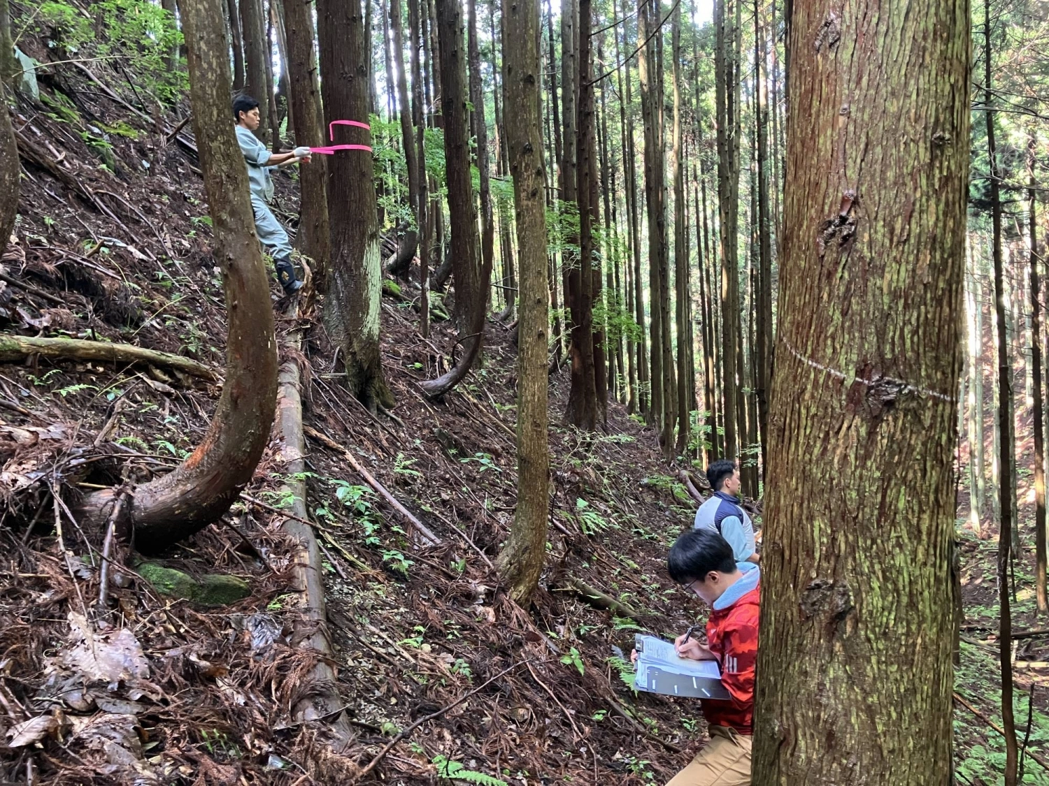 Members of the Ishinomaki project team survey the site in Miyagi Prefecture. The team’s analysis combined satellite data and modeling with on-site surveys.
Members of the Ishinomaki project team survey the site in Miyagi Prefecture. The team’s analysis combined satellite data and modeling with on-site surveys.