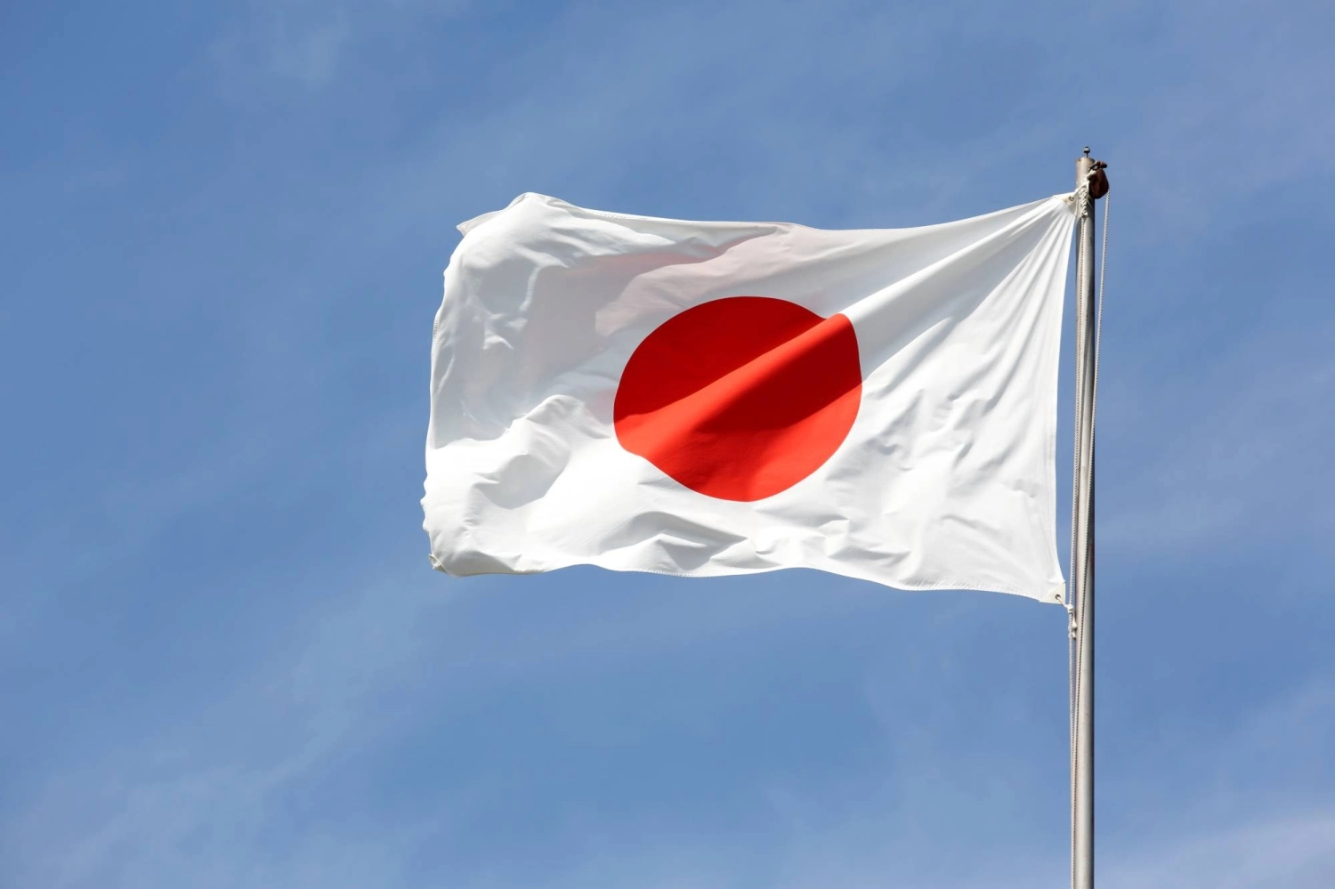 LDP approves bill criminalizing vandalism of national flag - The Japan ...