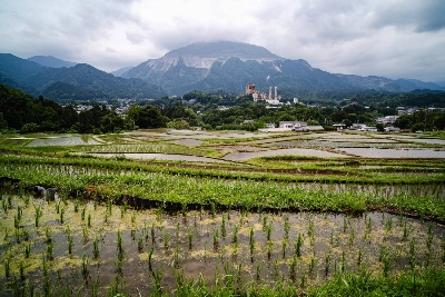 The Terasaka Rice Terraces are seen with Mount Buko in the background.