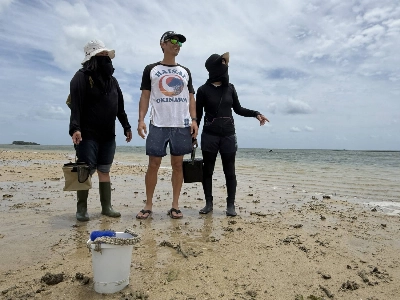 Local harvesters gather <i>mozuku</i> during low tide at Hyakuna Beach in the city of Nanjo, Okinawa Prefecture. As the planet warms, rising ocean temperatures are placing increasing pressure on the seaweed industry.