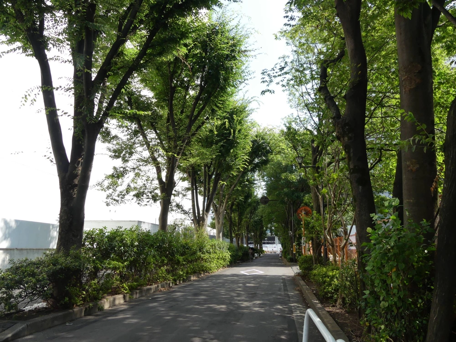 In Tokyo’s central 23 wards, “tree canopy cover,” the proportion of land area covered by tree crowns (branches and leaves) when viewed from above, declined from 9.2% in 2013 to 7.3% in 2022. In Tokyo’s central 23 wards, “tree canopy cover,” the proportion of land area covered by tree crowns (branches and leaves) when viewed from above, declined from 9.2% in 2013 to 7.3% in 2022.