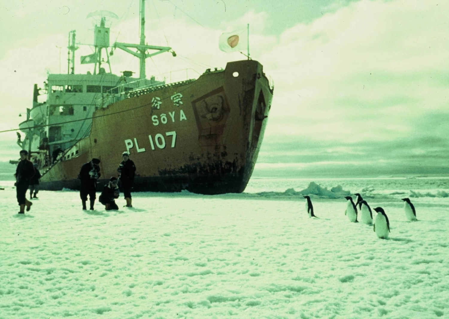 The icebreaker Soya is moored in Antarctica in 1957. The icebreaker Soya is moored in Antarctica in 1957.