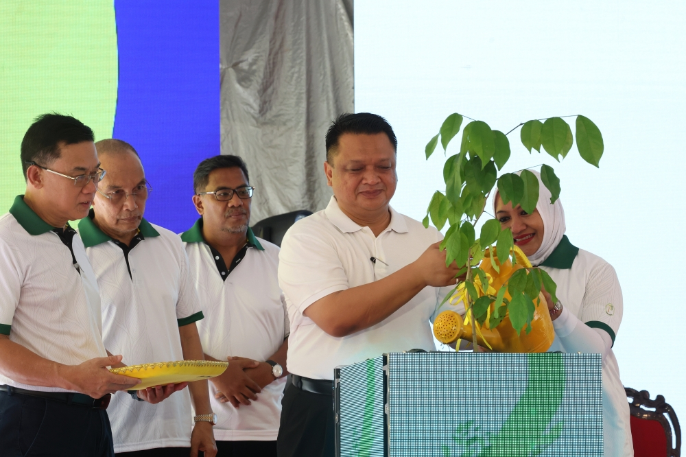 Natural resources sec-gen: Over 86 million planted since launch of ...
