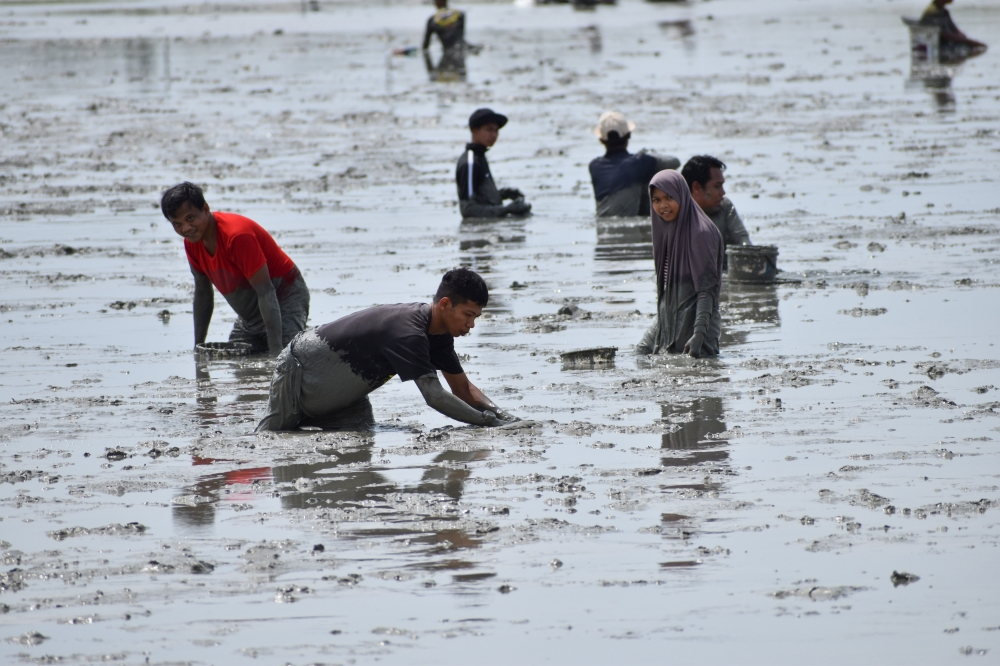 Shell we gather here today? Pantai Klebang beachgoers jump feet first ...
