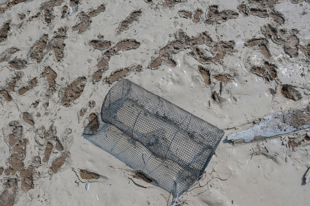 Singapore shuts down water plant at Johor river as pollution, dead fish ...