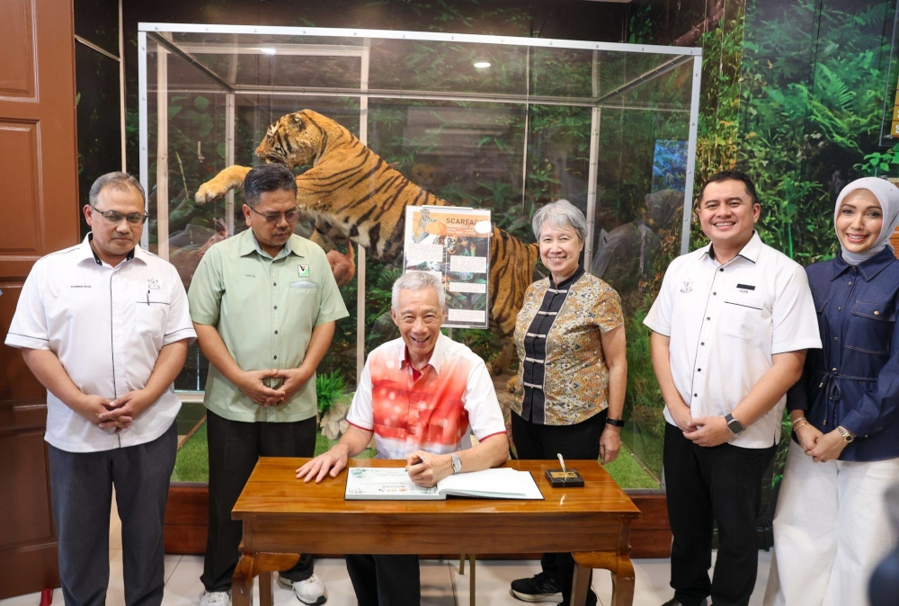 Tiger stop diplomacy: Singapore senior minister Lee Hsien Loong kicks ...
