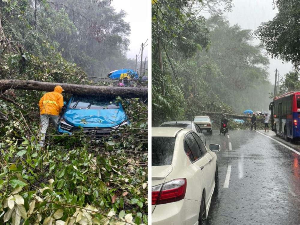 Storm hits Klang Valley: Flash floods, toppled trees and road congestion from Ampang to Meru and beyond (VIDEO) Heavy rains have caused several trees to fall onto Jalan Gombak, near Batu 10 in Kuala Lumpur, blocking both directions of traffic. — Composite picture from X/Bencana Malaysia