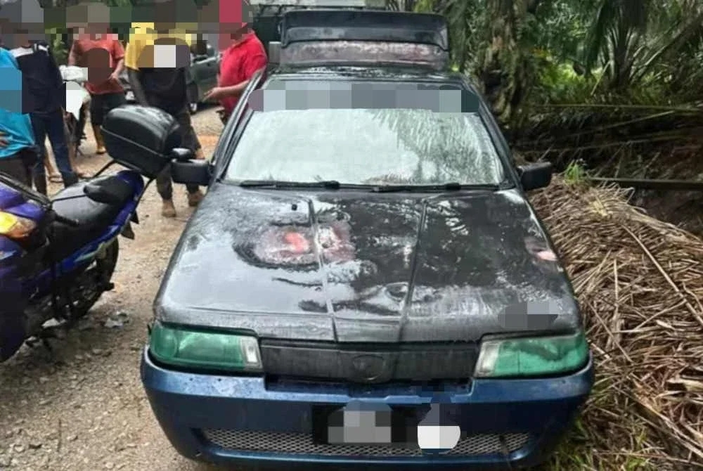 Four nabbed after long-running oil palm fruit thefts in Kanchong Darat uncovered Kuala Langat police chief Supt Mohd Akmalrizal Radzi said police received a report at about 6.30pm on Friday from a local man regarding two suspicious vehicles seen in an oil palm plantation area. — Picture via Facebook