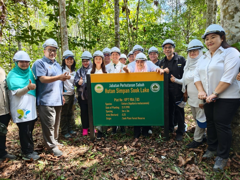 Arthur Kurup leads symbolic planting of 1,000 trees in Sook for forest ...