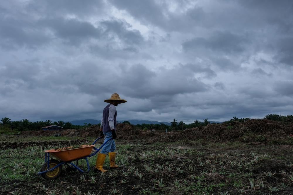 Heavy rain and strong winds alert: Sabah, Sarawak brace for severe thunderstorms Dark clouds fill the sky over Pontian on November 28, 2025. — Bernama pic