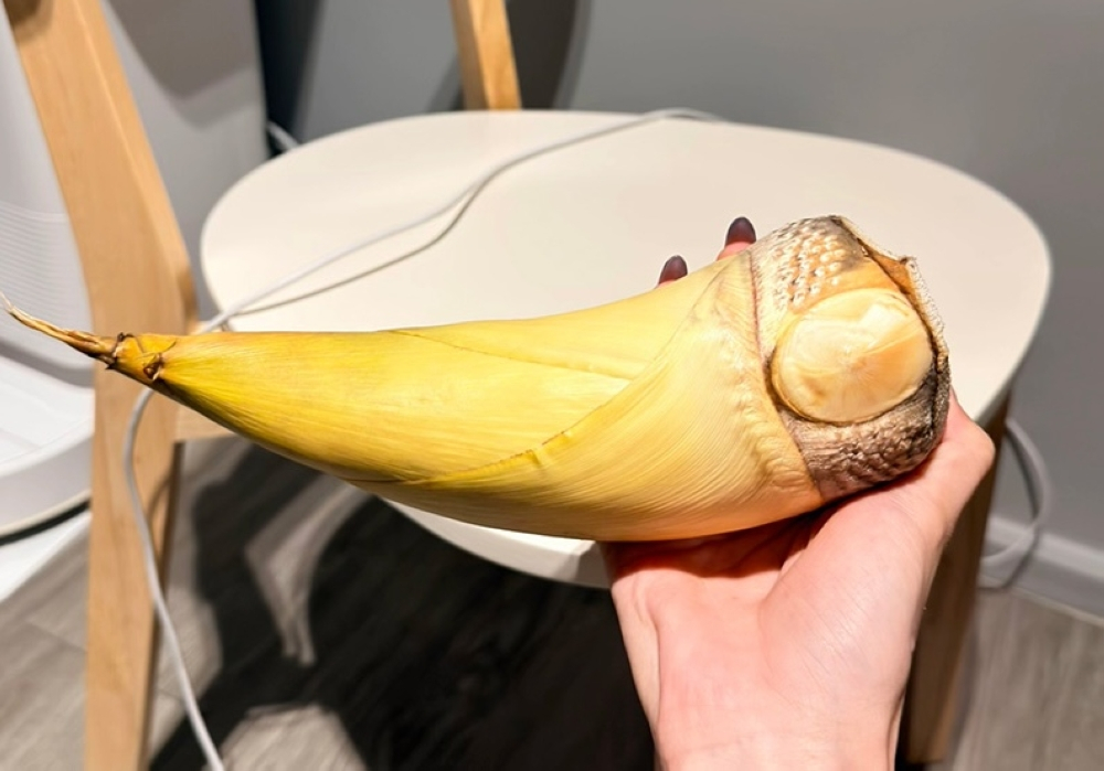 Not tusk luck! Thai traveller’s giant bamboo shoot mistaken for ivory by Bangkok’s Don Mueang Airport security (VIDEO) A giant bamboo shoot packed in a traveller’s suitcase briefly sparked an ivory scare at Bangkok’s Don Mueang Airport before security officers realised it was destined for the dinner table, not the black market. — Social media pic