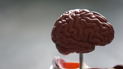 Dementia prevention possible as WHO highlights tobacco, isolation and inactivity among key risk drivers Dementia is caused by brain diseases and affects memory, thinking and the ability to function. — Unsplash pic