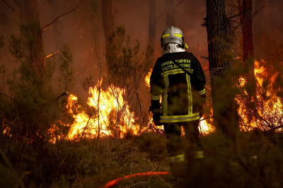 France and Spain battle the worst wildfires in their histories as heatwave fuels crisis A firefighter stands before flames as a forest fire rages in Saint-Jean-d’Illac near Bordeaux on July 26, 2026. — AFP pic