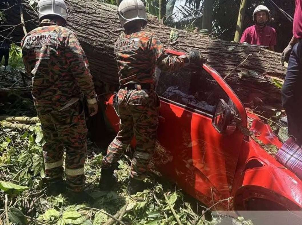 Maran Umno Youth chief, wife and child among four killed in Bentong crash Fire and Rescue Department personnel stand near a pickup truck tha
