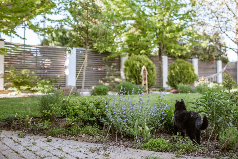 Home gardens and parks linked to lower risk of type 2 diabetes, study ...