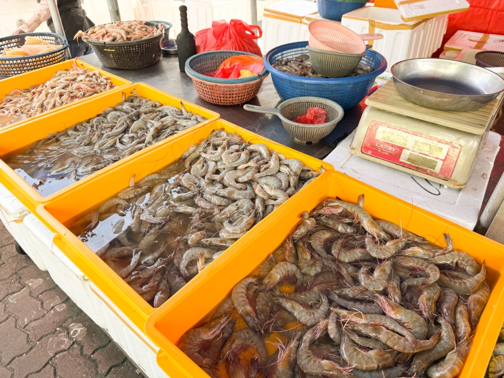 Shrimp import talks with Thailand at final stage, resolution expected by mid‑August, says Mat Sabu Discussions on the issue of shrimp imports from Thailand are at the final stage and are expected to be resolved by mid-August, said Agriculture and Food Security Minister Datuk Seri Mohamad Sabu. — Picture by Lee Khang Yi