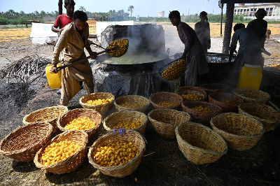‘Unbearable’ heat makes Pakistan’s date harvest a gruelling battle for workers Muhammad Idrees (L) ladling boiled dates from a vat simmering over an open flame near a palm orchard at Khairpur, in Pakistan's Sindh province. — AFP pic