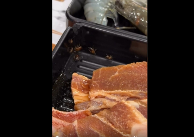 Viral video of cockroaches in food container prompts DBKL to shut BBQ outlet for 14 days (VIDEO) The footage, shared by a Threads user through the @aqilahmaria_ account, showed several of the insects inside a container holding raw meat near a container of prawns. — Screengrab from Threads/@aqilahmaria_