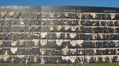 Did you know your underwear can tell you about soil health? Not kidding, Swiss scientists buried 2,000 pairs — here’s what they found A selection of the more than 2,000 cotton underwear items in various stages of decomposition that were buried in fields, meadows, and gardens by scientists from the University of Zurich in 2021 to study soil health and how it can affect biodiversity and food supplies worldwide. — Picture by Gabriela Brändle for Agroscope/University of Zurich
