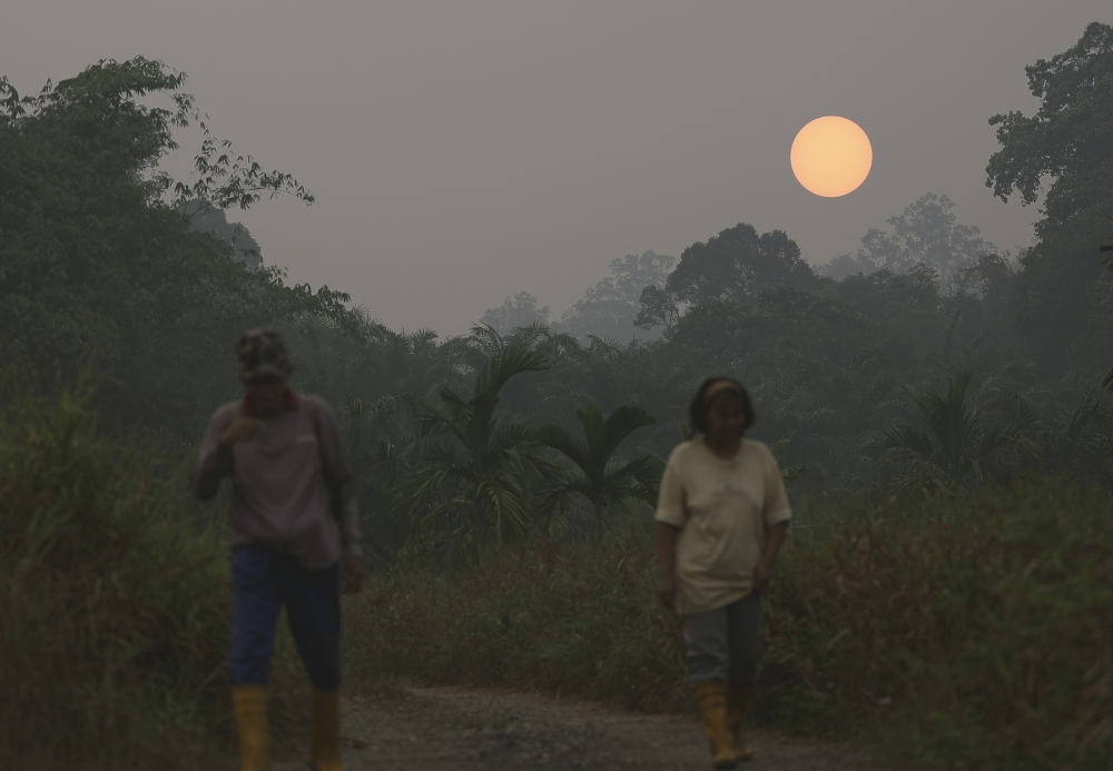 Haze in Malaysia: Why burning leaves and rubbish in your compound is more dangerous than you think Two villagers walk to their farm through the haze in Kampung Tebakang, near Serian on August 30, 2026. — Bernama pic