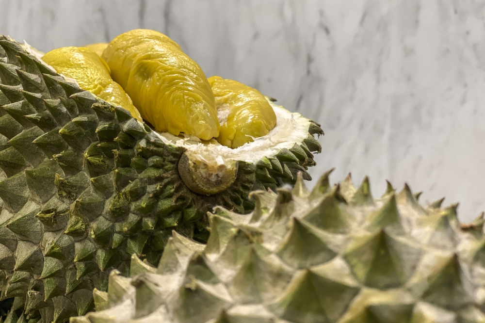 Malaysian durians could clear China customs in three to four hours under proposed fast-track scheme The initiative is being explored under a tripartite Memorandum of Understanding (MoU) signed by the three parties at the Malaysia Agriculture, Horticulture and Agrotourism Show (MAHA) 2026 at the Malaysia Agro Exposition Park Serdang (MAEPS) today. — Picture by Hari Anggara