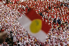 No seat for Pakatan at annual Umno assembly, but PAS gets red carpet Umno picks PAS over Pakatan Harapan for its 2026 general assembly. — File picture by Hari Anggara