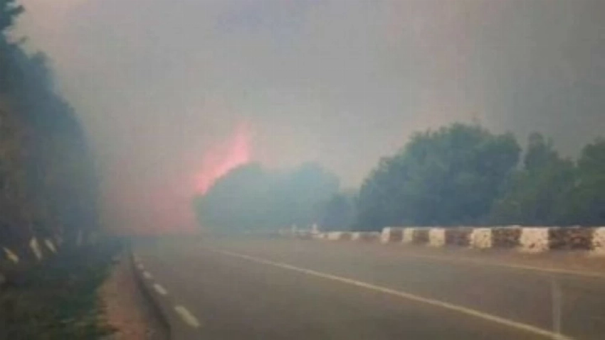 موجة نيران غير مسبوقة.. الجزائر تكافح لإنقاذ غاباتها من الدمار المناخي - أخبار السعودية 2 موجة نيران غير مسبوقة.. الجزائر تكافح لإنقاذ غاباتها من الدمار المناخي