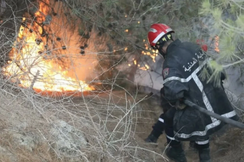 موجة نيران غير مسبوقة.. الجزائر تكافح لإنقاذ غاباتها من الدمار المناخي - أخبار السعودية 4 موجة نيران غير مسبوقة.. الجزائر تكافح لإنقاذ غاباتها من الدمار المناخي
