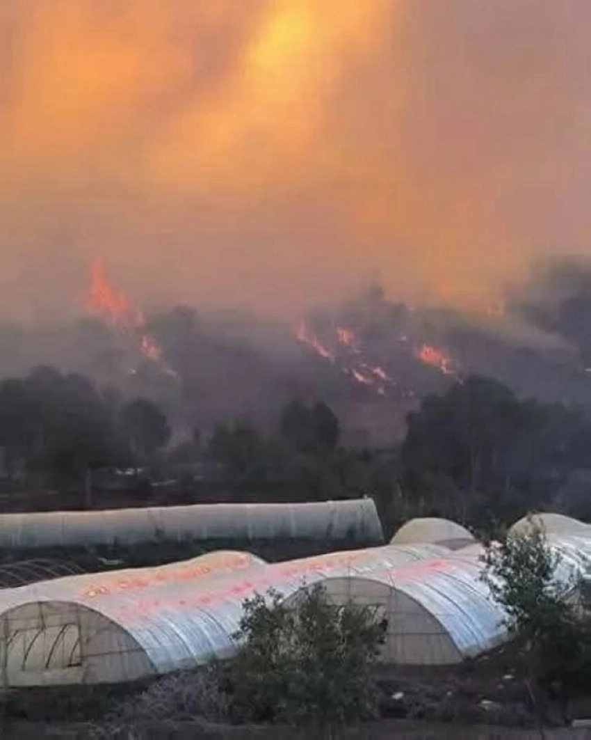 موجة نيران غير مسبوقة.. الجزائر تكافح لإنقاذ غاباتها من الدمار المناخي - أخبار السعودية 3 موجة نيران غير مسبوقة.. الجزائر تكافح لإنقاذ غاباتها من الدمار المناخي