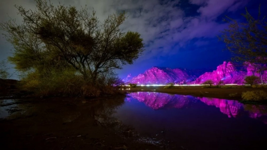 أمطار حائل.. سماء تهطل وأرض تتجلّى