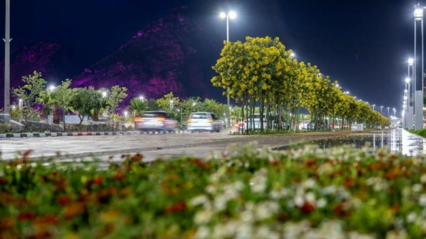 أمطار حائل.. سماء تهطل وأرض تتجلّى