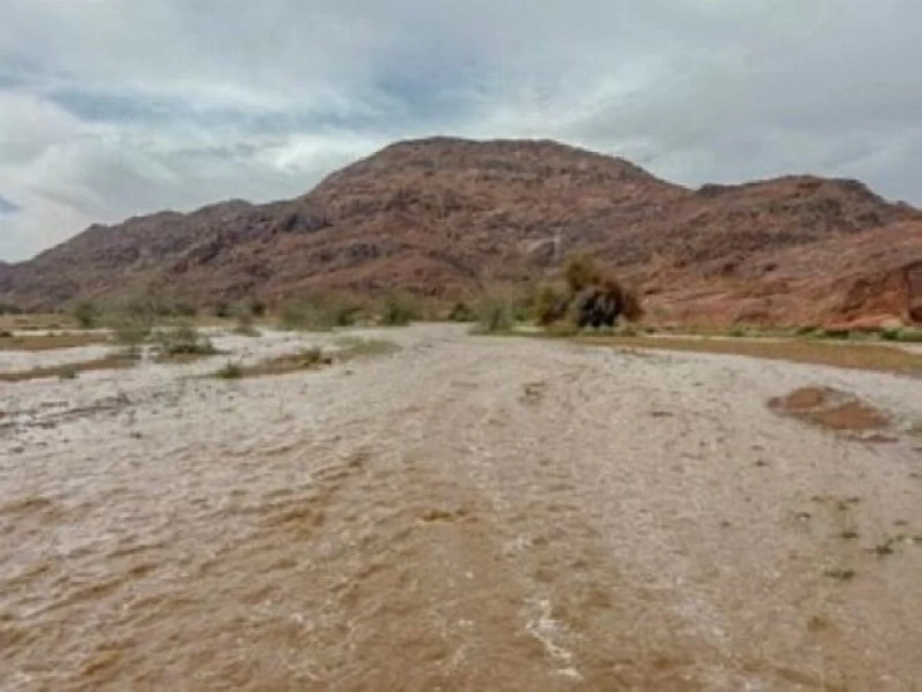 أمطار حائل.. سماء تهطل وأرض تتجلّى